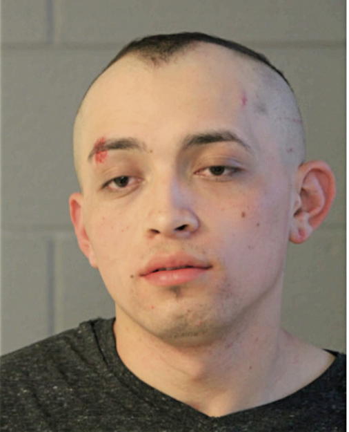 MAURO REYES, Cook County, Illinois