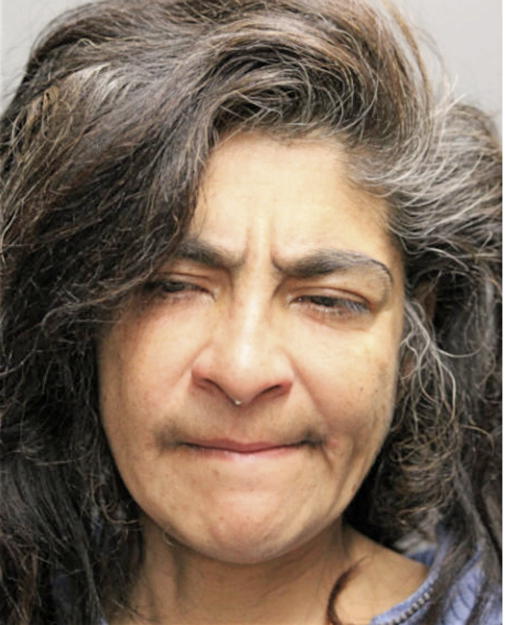 BLANCA E RODRIQUEZ, Cook County, Illinois