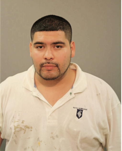 LUIS A ROMAN, Cook County, Illinois