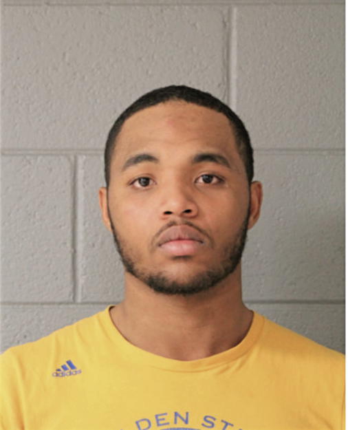 TERRENCE T TEMPLES, Cook County, Illinois