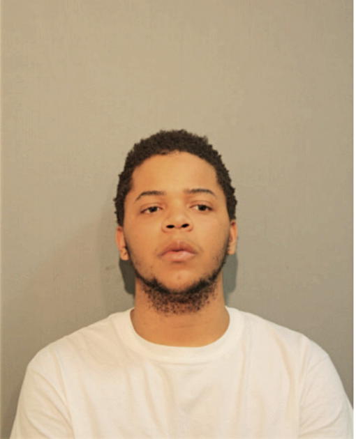 ANTHONY G THEUS, Cook County, Illinois