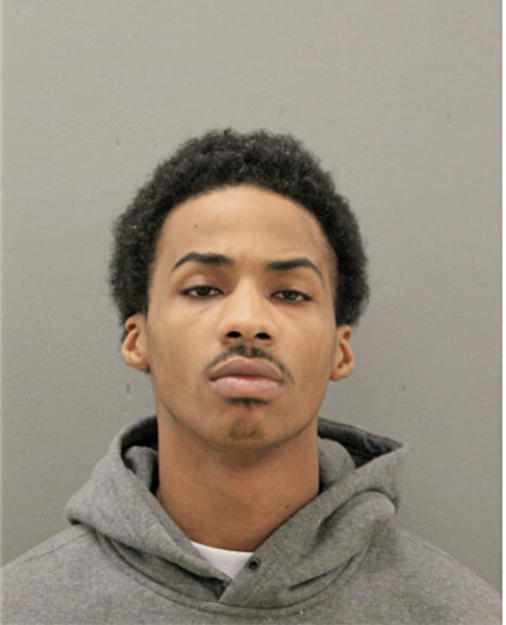 WALTER T ALSTON, Cook County, Illinois