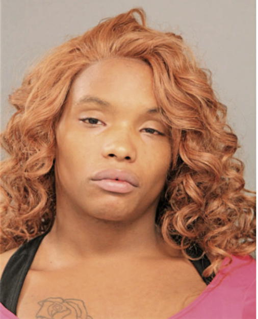MICHELLE E CAIN, Cook County, Illinois