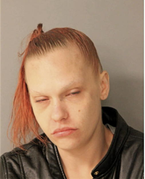 AMANDA R CARNAHAN, Cook County, Illinois