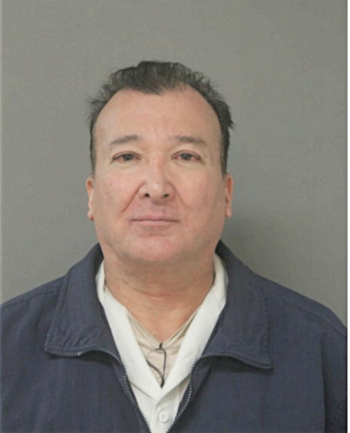 LOUIS J CHAVEZ, Cook County, Illinois