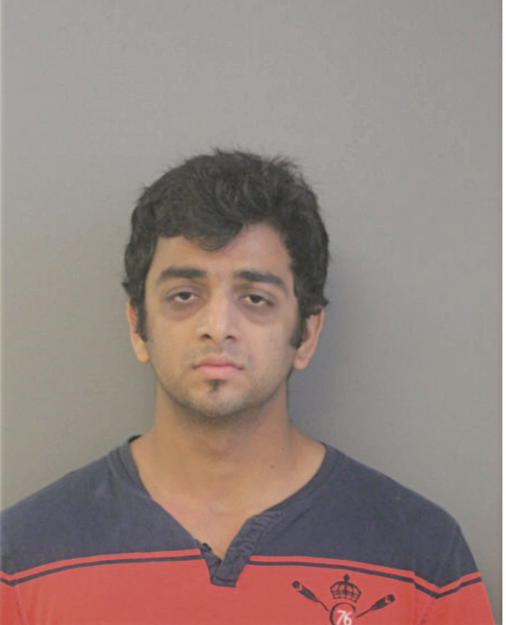 AJINKYA MADHAV DIGRASKAR, Cook County, Illinois