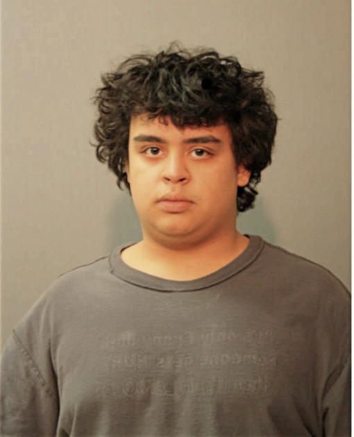 JONATHAN GARAY, Cook County, Illinois