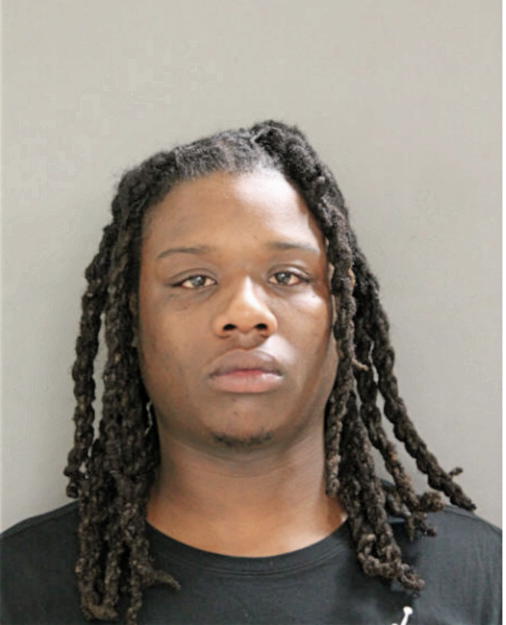 JESSE J GARDNER-VINSON, Cook County, Illinois