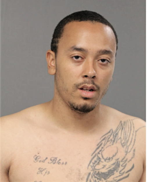 THEODORE D HALEY, Cook County, Illinois
