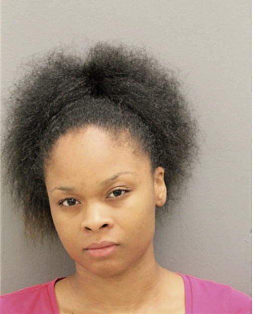 MEGAN T HARRIS, Cook County, Illinois