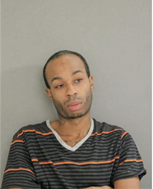 CHRISTOPHER L LEWIS, Cook County, Illinois