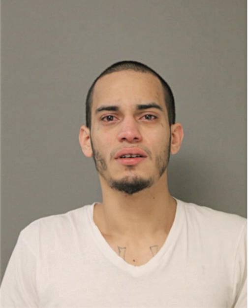 DANIEL J MONTALVO, Cook County, Illinois