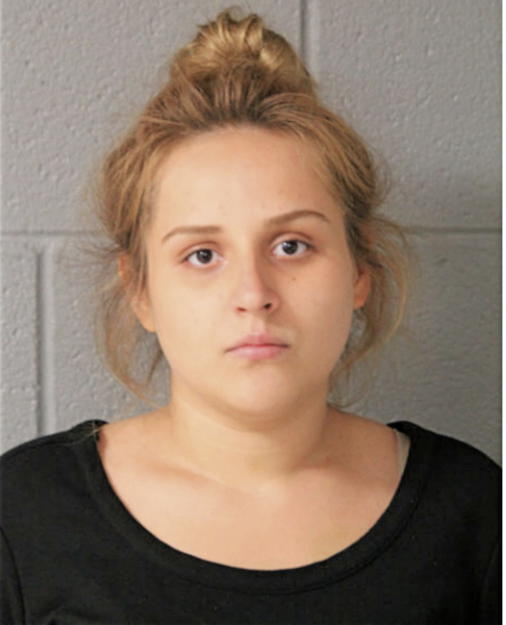 JESSICA L MOREK, Cook County, Illinois
