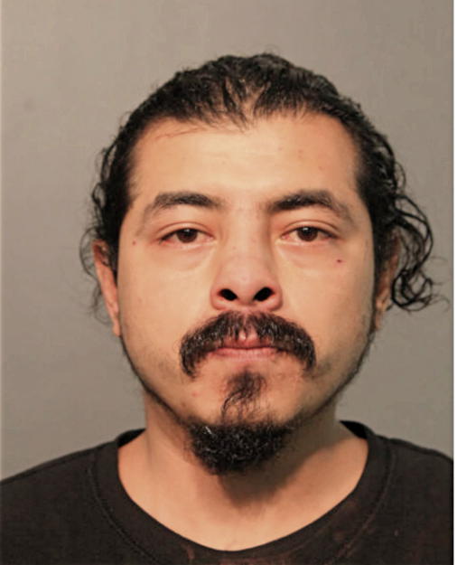 GEOVANNY R NAVA, Cook County, Illinois