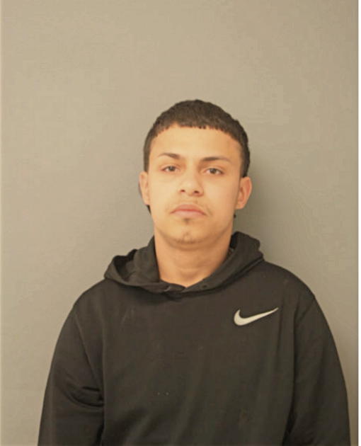 BRANDON ROSARIO, Cook County, Illinois