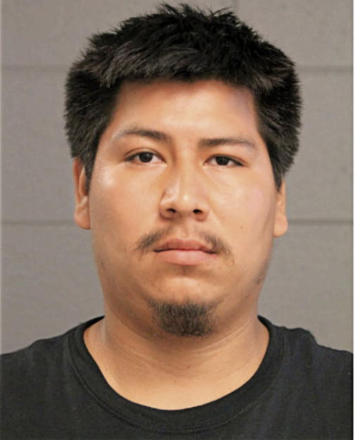 SALVADOR SALINAS, Cook County, Illinois