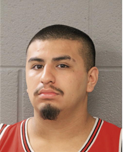 HECTOR A SANCHEZ, Cook County, Illinois