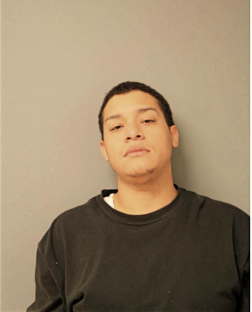 JUAN J SANTOS, Cook County, Illinois