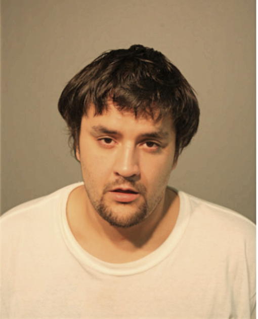 ZACHARY C STINSON, Cook County, Illinois