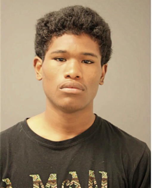 MICHEAL C TIBAY-BREWSTER, Cook County, Illinois