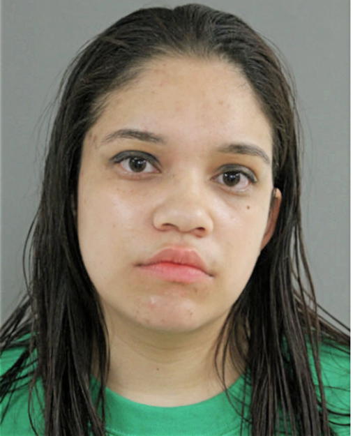 DIANA C YAMAMOTO, Cook County, Illinois