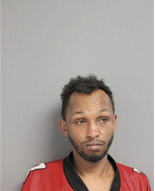 SAID A ABDI, Cook County, Illinois