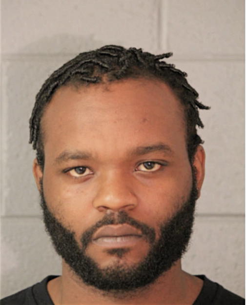 MICHAEL J ADAMS, Cook County, Illinois