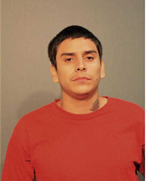 CHRISTOPHER D ALBORES, Cook County, Illinois