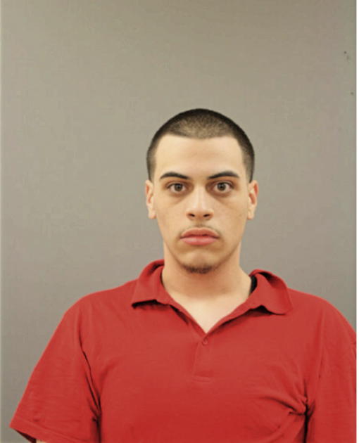 MIKE E ALICEA, Cook County, Illinois