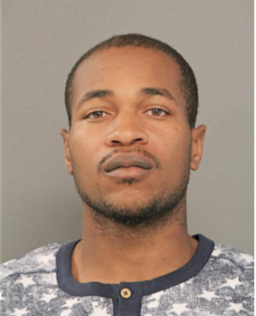 MATTHEW L BARNES, Cook County, Illinois
