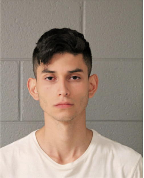 LEONEL BAUTISTA, Cook County, Illinois