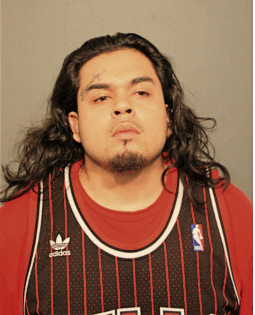 JOSE P CALDERON, Cook County, Illinois