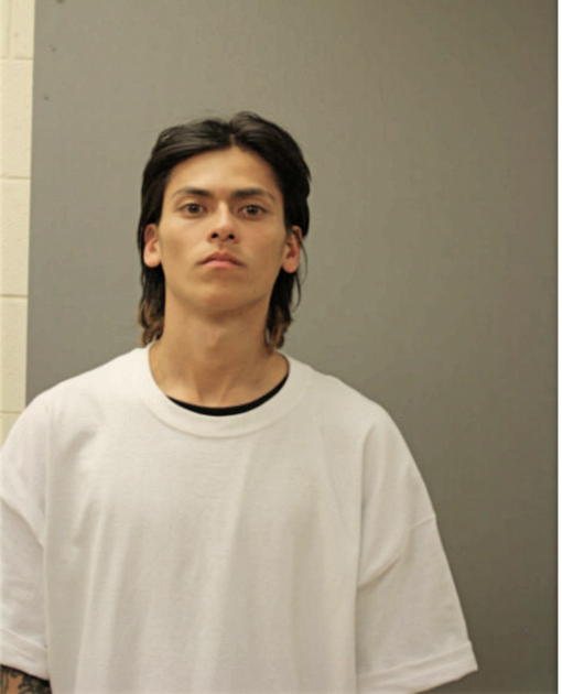 CARLOS E CALIX, Cook County, Illinois