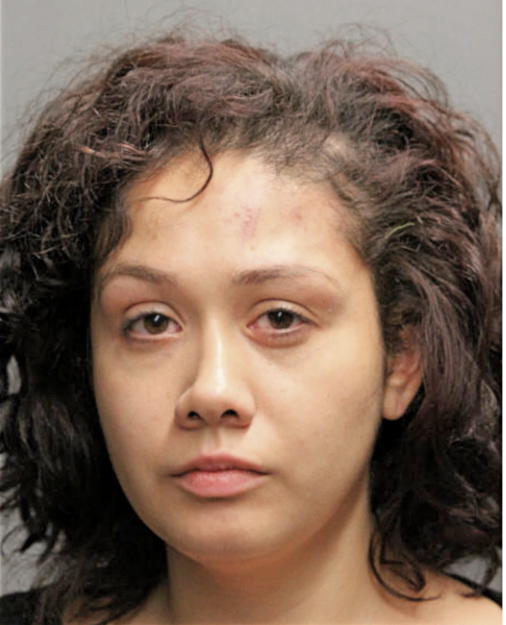CHRISTINA ROSE CALVILLO, Cook County, Illinois