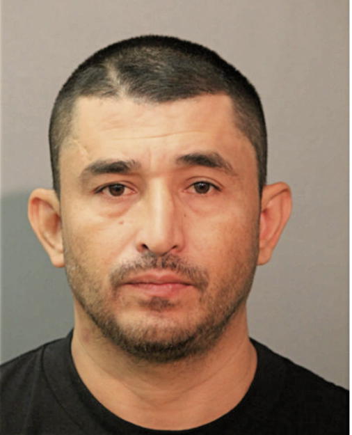JUAN C FITZ, Cook County, Illinois