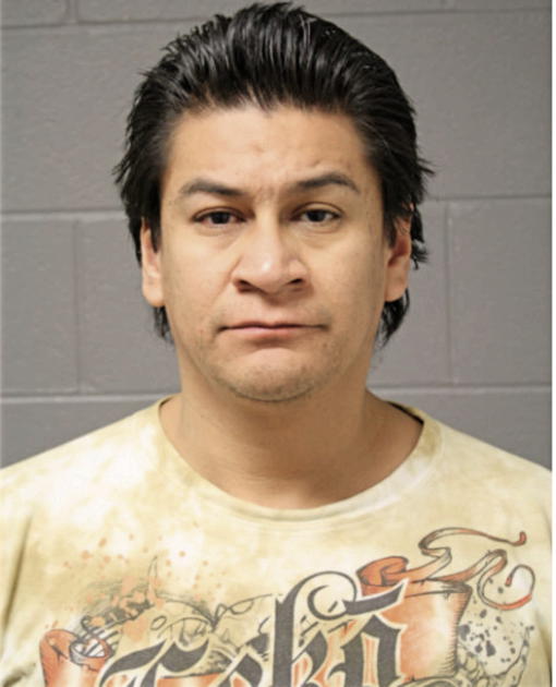 JOSE G GARCIA, Cook County, Illinois
