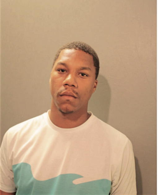 TERRELL M HILL, Cook County, Illinois