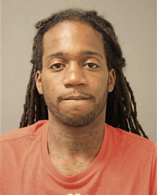 TERRENCE L HOLBROOK, Cook County, Illinois