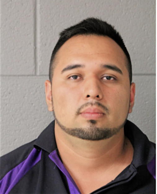 JOSE R JAIMES PEDRAZA, Cook County, Illinois