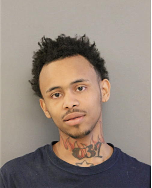 DEVONTE T JOHNSON, Cook County, Illinois