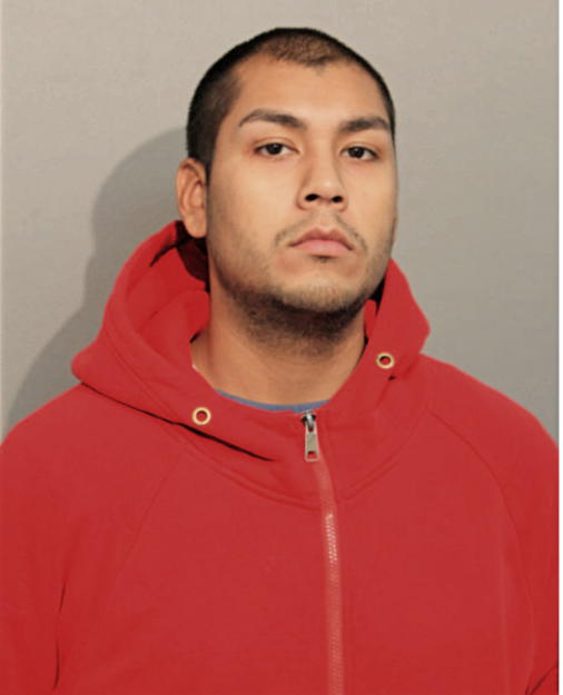 MICHAEL N MORENO, Cook County, Illinois