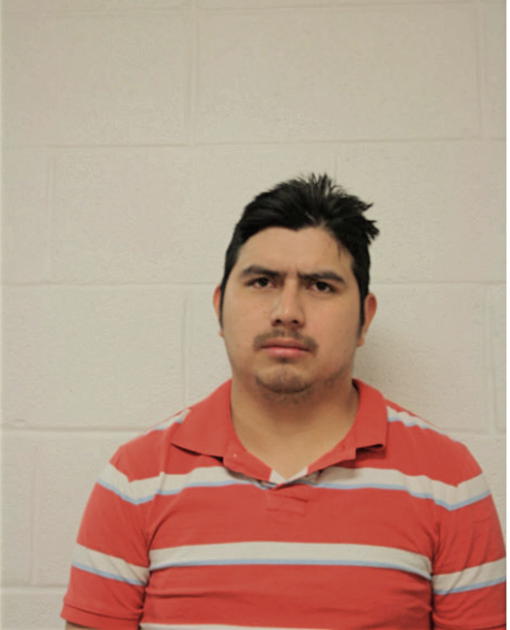 ELMER NAVARRO, Cook County, Illinois