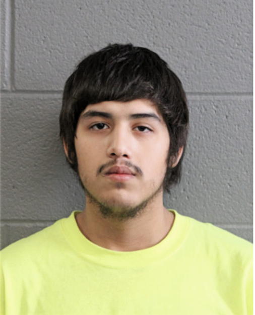 JOSE NINO, Cook County, Illinois