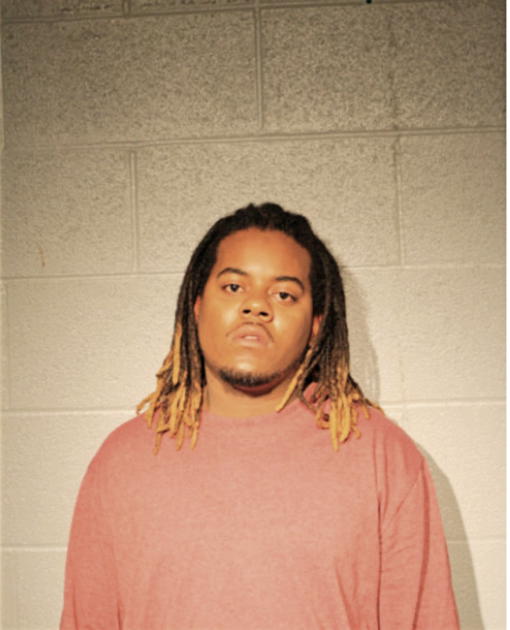STEVEN L ORR, Cook County, Illinois