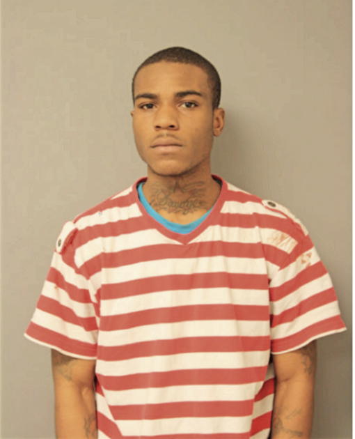 DERRICK L OWENS, Cook County, Illinois
