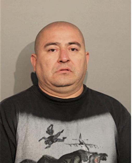 NELVIN J PAYES-MARTINEZ, Cook County, Illinois