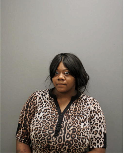 KIMBERLY S JOHNSON, Cook County, Illinois