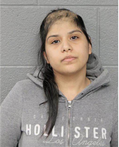 CASSANDRA TAMAYO, Cook County, Illinois