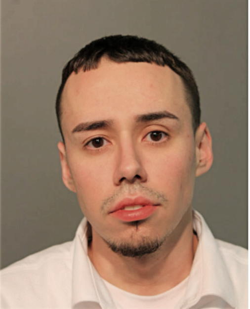 ANTHONY TORRES, Cook County, Illinois