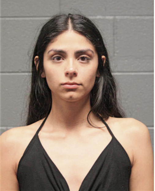 JADE C VALLEJO, Cook County, Illinois